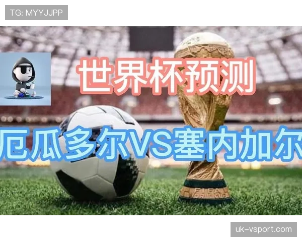 厄瓜多尔世界杯晋级路线图 厄瓜多尔世界杯晋级路线图